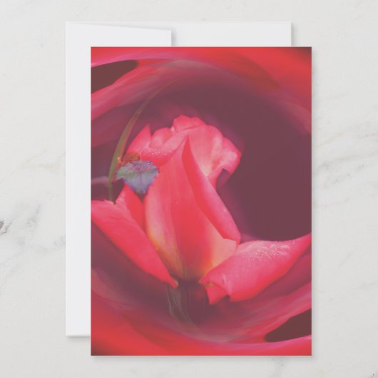 Rosa Swirbeln Rosenknospe Floral Art Party Einladung (Rückseite)