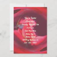 Rosa Swirbeln Rosenknospe Floral Art Party