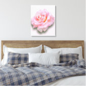Rosa 'Szentrierung' Leinwanddruck (Insitu (Schlafzimmer))