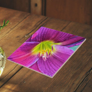 Rosa Taglilie Blütenblume Fliese