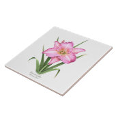 Rosa Taglilie Botanischer Kunststil Fliese (Seite)