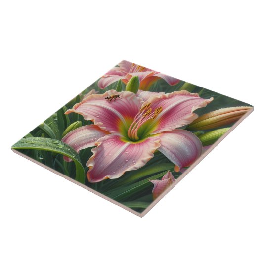 Rosa Taglilie Fliese (Seite)