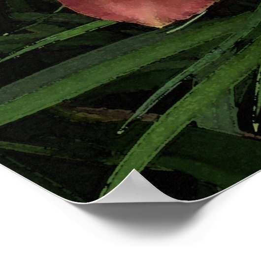 Rosa Taglilien Poster (Ecke)