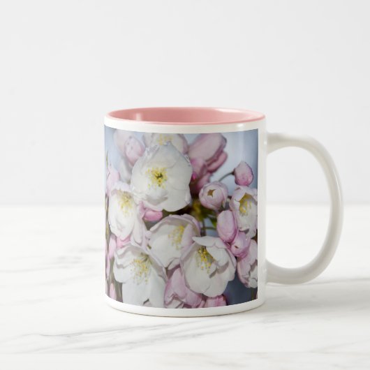 Rosa Tasse der japanischen Rose (Rechts)