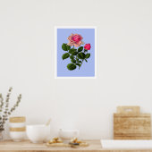 Rosa Teerosen Poster (Küche)