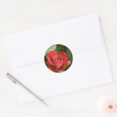 Rosa, teilweise offene Blumen Runder Aufkleber (Umschlag)