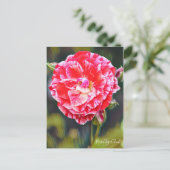 Rosa Tiger Schwanz [Postcard] Postkarte (Stehend Vorderseite)