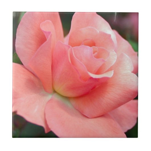 Rosa Tile Fliese (Vorderseite)