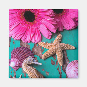 Rosa Töne und Seepferd mit Starfish Magnet