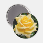 Rosa Toulouse Lautrec Magnet (Vorderseite/Rückseite)