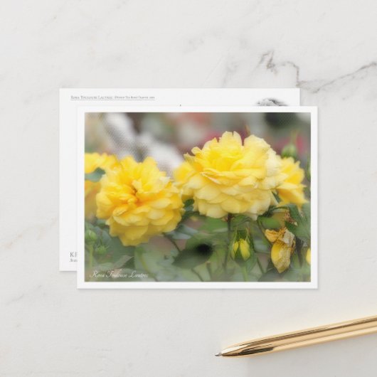 Rosa Toulouse Lautrec Postkarte (Vorderseite/Rückseite Beispiel)