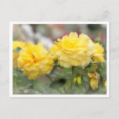 Rosa Toulouse Lautrec Postkarte (Vorderseite)