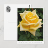 Rosa Toulouse Lautrec Postkarte (Vorne/Hinten)