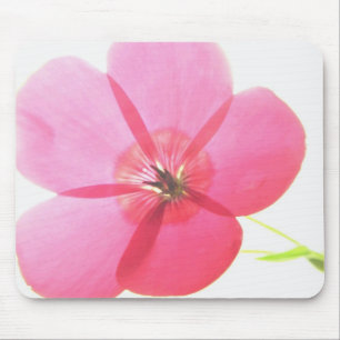 Rosa Transparente Blüte Mousepad