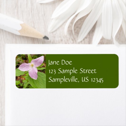 Rosa Trillium Blume (Insitu)