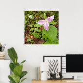 Rosa Trillium Blume Poster (Heimbüro)