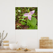 Rosa Trillium Blume Poster (Küche)