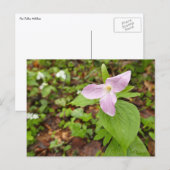 Rosa Trillium Blume Postkarte (Vorne/Hinten)