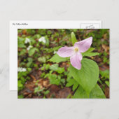 Rosa Trillium Blume Postkarte (Vorne/Hinten)