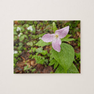 Rosa Trillium Blume Puzzle