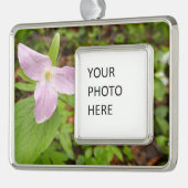 Rosa Trillium Blume Rahmen-Ornament Silber (Links)