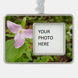 Rosa Trillium Blume Rahmen-Ornament Silber