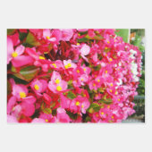 Rosa Tropfen vom Frühling, Begonien, Geschenkpapier Set (Vorderseite 2)