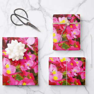Rosa Tropfen vom Frühling, Begonien, Geschenkpapier Set
