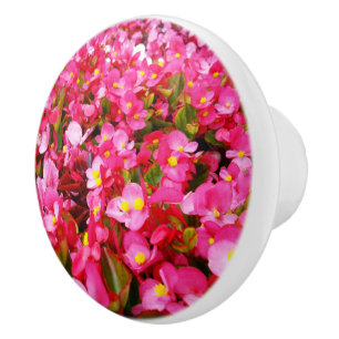 Rosa Tropfen vom Frühling, Begonien, Keramikknauf