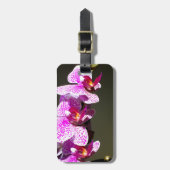 Rosa tropische Blume Orchideen Gepäckanhänger (Vorderseite vertikal)
