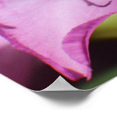 Rosa tropische Blume Poster (Ecke)