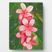 Rosa tropische Frangipani-Kunst Fotoplatte (Vorderseite)