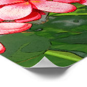 Rosa tropische Frangipani-Kunst Poster (Ecke)