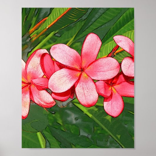 Rosa tropische Frangipani-Kunst Poster (Vorne)