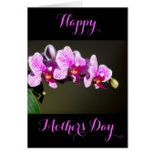 Rosa, tropische Orchideen in Rosa (Vorne)