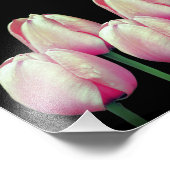 Rosa Tulip-Blume 8x10 Fotodruck (Ecke)
