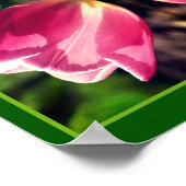 Rosa Tulip Blume im Sonnenlicht Spiegel Abstrakt Poster (Ecke)