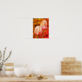 Rosa Tulip-Blume mit Raindrops gestörte Kunst Poster (Küche)