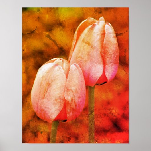 Rosa Tulip-Blume mit Raindrops gestörte Kunst Poster (Vorne)