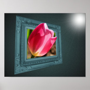 Rosa Tulip-Blume Poster