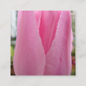 Rosa Tulip Tulips Park/Garten: Begleitkarte (Rückseite)