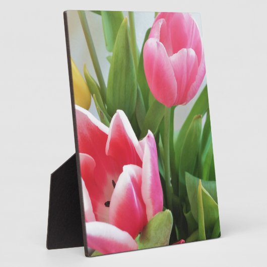 Rosa Tulips, Blumenstrauß, Blume Fotoplatte (Seite)