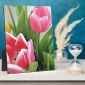 Rosa Tulips, Blumenstrauß, Blume Fotoplatte (Seite)