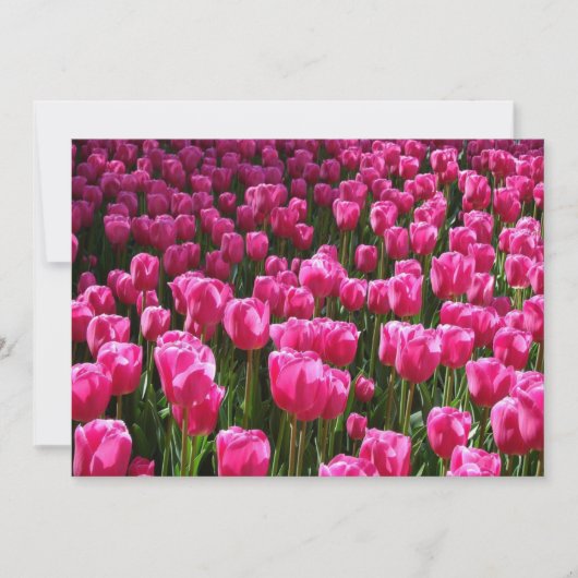 Rosa Tulips Einladung (Vorderseite)
