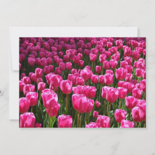 Rosa Tulips Einladung