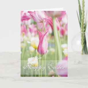 Rosa Tulips Frühjahrssaison Ostern Grußkarte Feiertagskarte