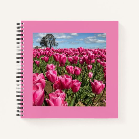 Rosa Tulips in a Field, Oregon Notizblock (Vorderseite)