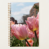 Rosa Tulips in Boston Planer (Vorderseite)