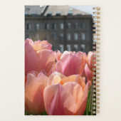 Rosa Tulips in Boston Planer (Rückseite)