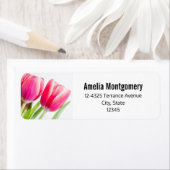 Rosa Tulips mit grünen Blätter Foto-Adresse (Insitu)